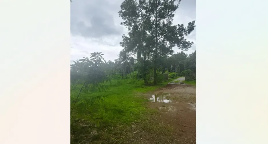 For sale land in Mueang Chumphon, Chumphon