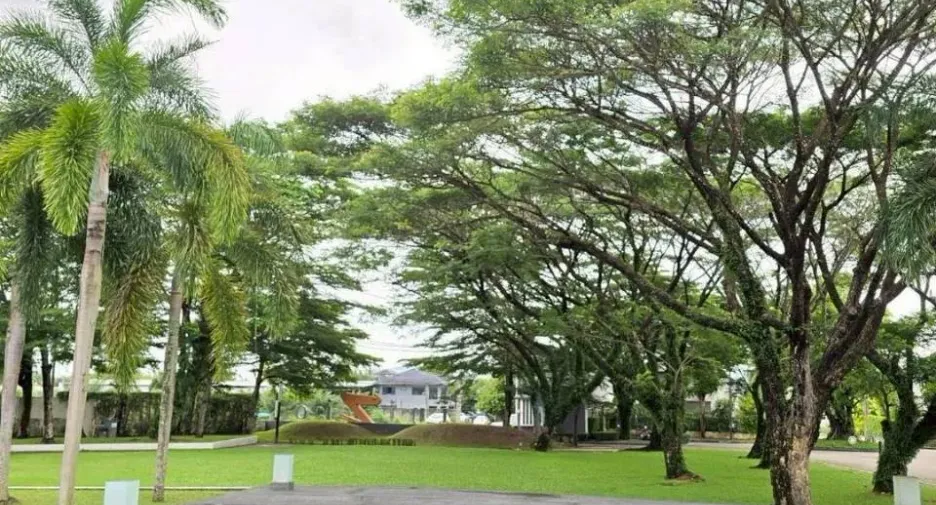 出租 3 卧室 独立屋 在 Phuket Town, 普吉