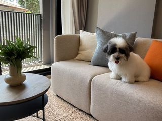 For rent 1 bed condo in Thalang, Phuket