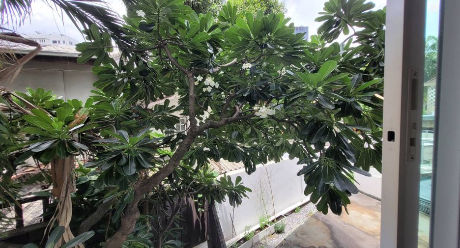 For rent 4 bedrooms condo in Khlong Toei, Bangkok