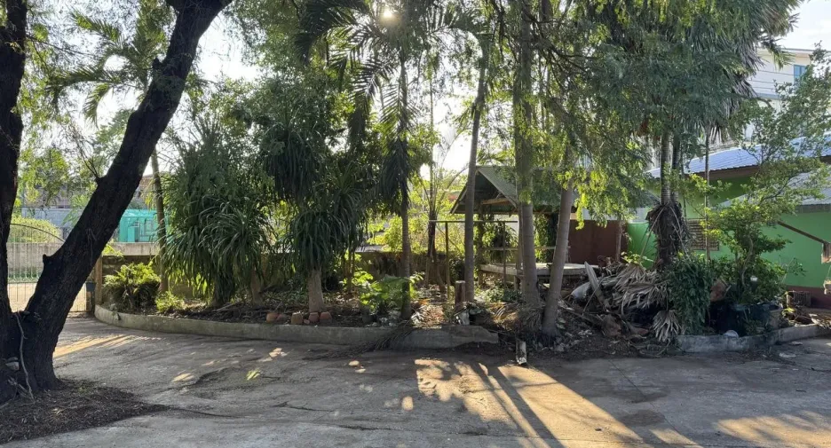 Продажа Участок в Mueang Loei, Loei
