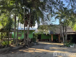 Продажа Участок в Mueang Loei, Loei
