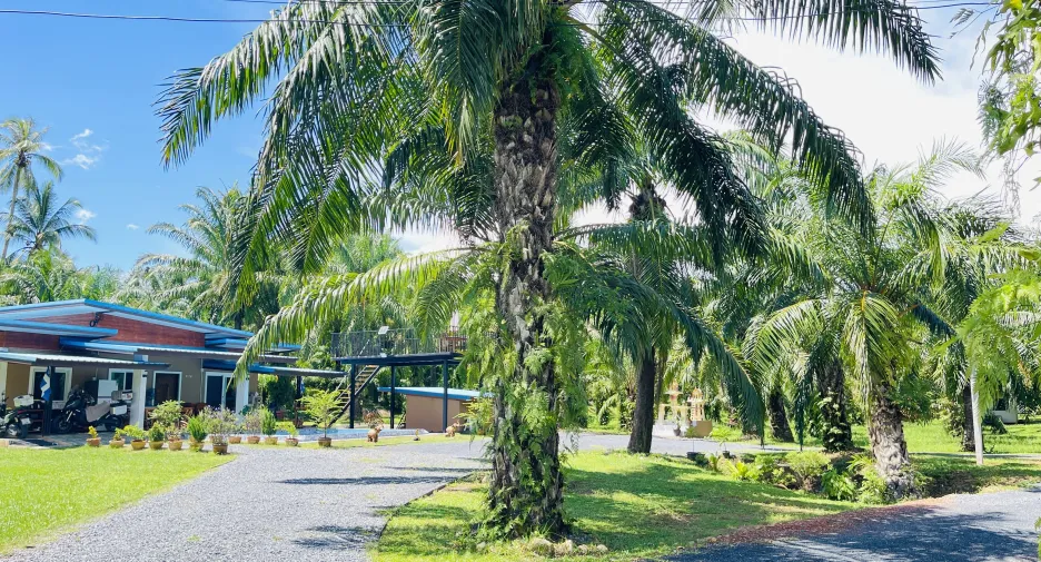 出售 2 卧室 别墅 在 Ao Luek, Krabi