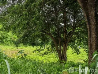 For sale land in Hang Dong, Chiang Mai