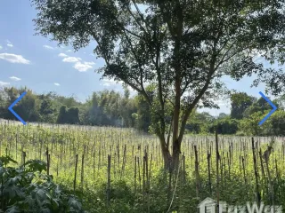 For sale land in Hang Dong, Chiang Mai