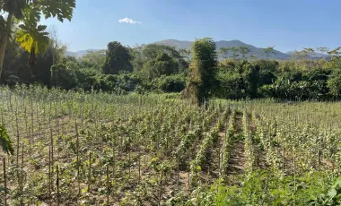 Terreno en venta en Hang Dong, Chiang Mai