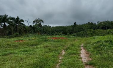 Terreno en venta en Mueang Krabi, Krabi