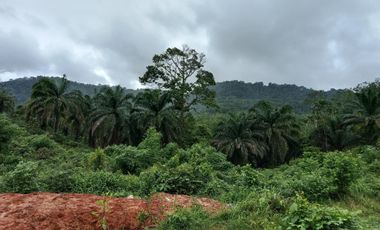 Terreno en venta en Mueang Krabi, Krabi
