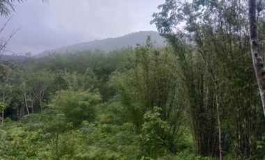 Terreno en venta en Mueang Krabi, Krabi