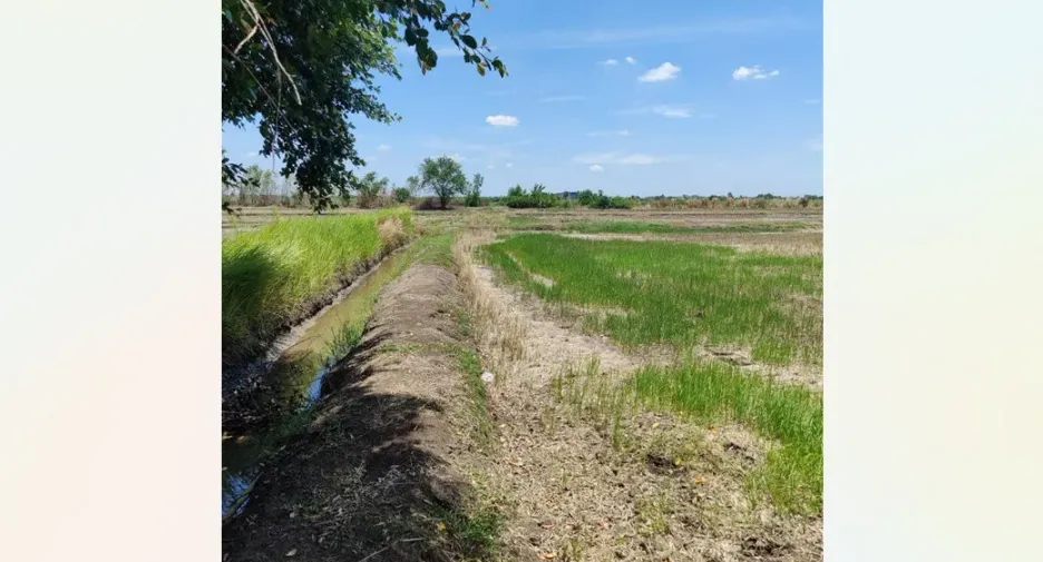 Grundstück zum Kauf in Khlong Luang, Pathum Thani