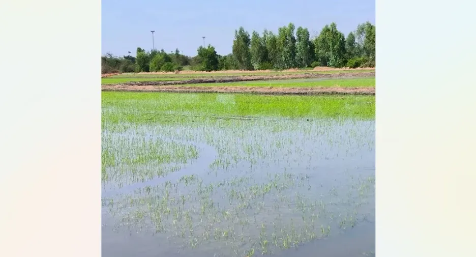 Grundstück zum Kauf in Khlong Luang, Pathum Thani