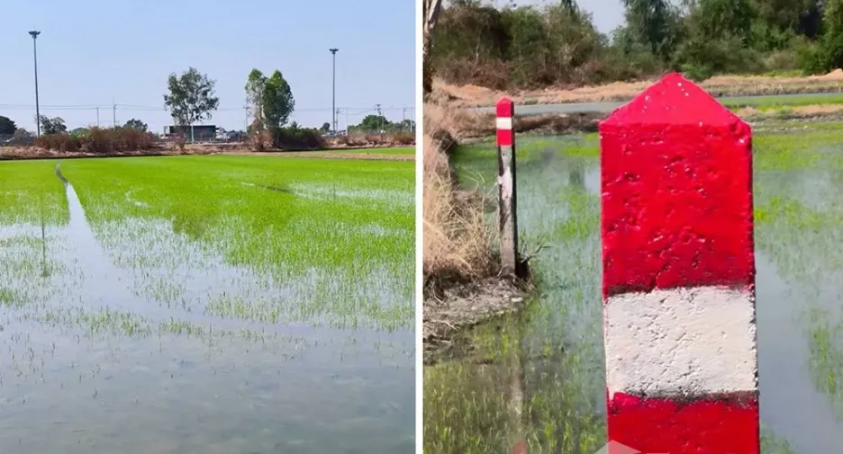 Grundstück zum Kauf in Khlong Luang, Pathum Thani