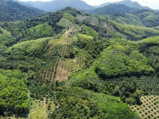 À vendre terrain à Thai Mueang, Phang Nga