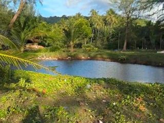 For sale land in Nuea Khlong, Krabi