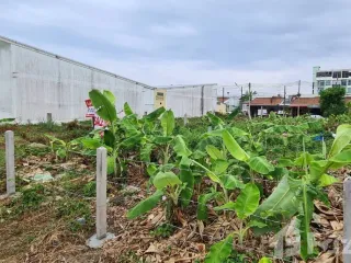 For sale land in Mueang Phuket, Phuket