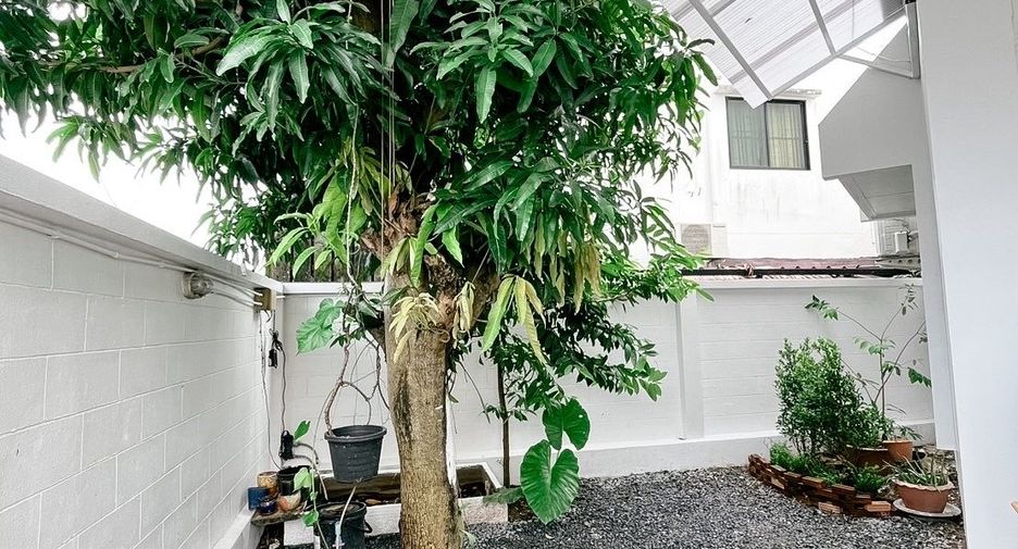 For rent 3 bedrooms townhouse in Mueang Phuket, Phuket