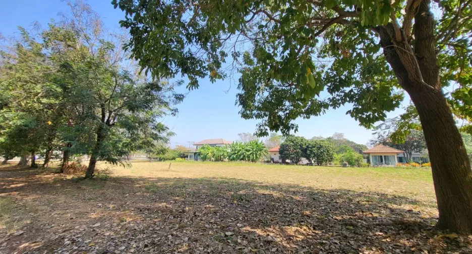 For sale land in Sam Khok, Pathum Thani