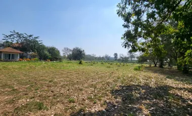 For sale land in Sam Khok, Pathum Thani
