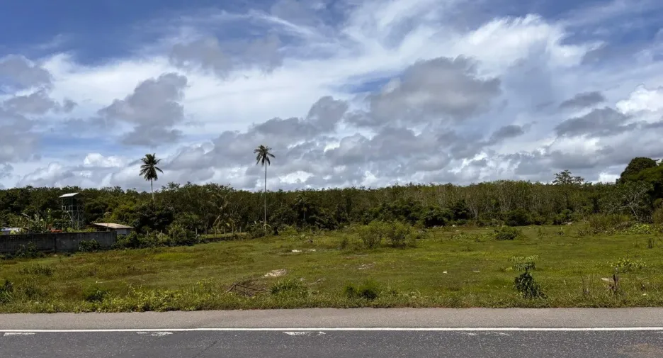 Grundstück zum Kauf in Thalang, Phuket