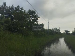 Продажа 1 кровать Участок в Нонг Чок, Бангкок