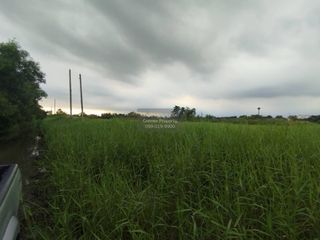 Продажа 1 кровать Участок в Нонг Чок, Бангкок