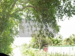 For sale 1 bed land in Kamphaeng Saen, Nakhon Pathom