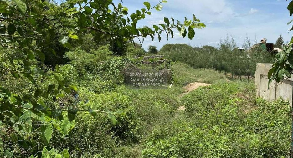 For sale 1 bed land in Kamphaeng Saen, Nakhon Pathom