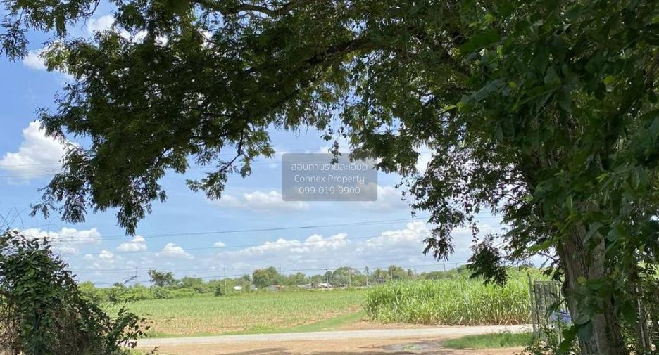For sale 1 bed land in Kamphaeng Saen, Nakhon Pathom