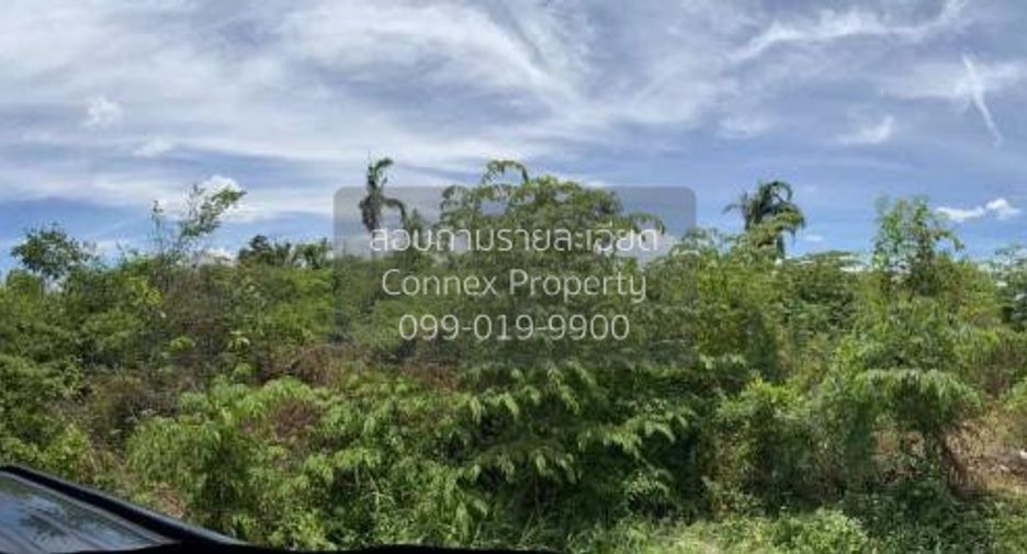For sale 1 bed land in Kamphaeng Saen, Nakhon Pathom