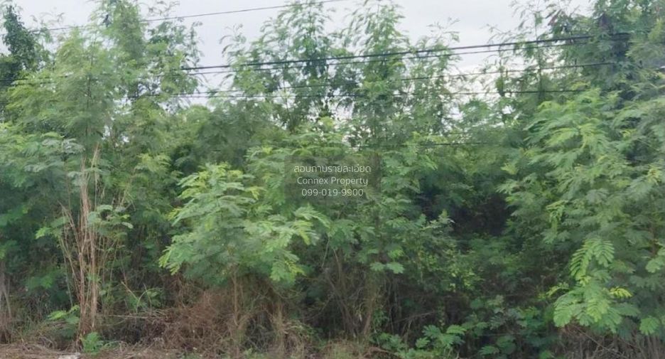 Terreno en venta de 1 habitaciones en Ongkharak, Nakhon Nayok