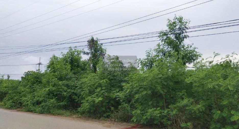 Terreno en venta de 1 habitaciones en Ongkharak, Nakhon Nayok