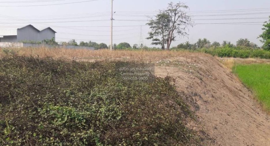For sale 1 bed land in Bang Bua Thong, Nonthaburi