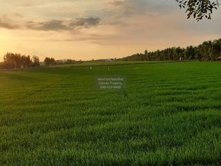 Terreno en venta de 1 habitaciones en Sai Noi, Nonthaburi