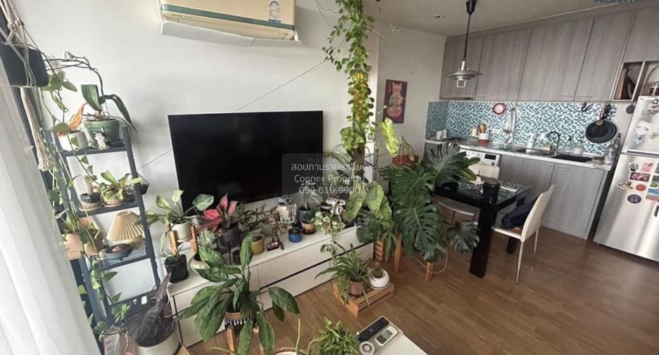 ขาย 2 ห้องนอน คอนโด ใน จตุจักร, กรุงเทพฯ