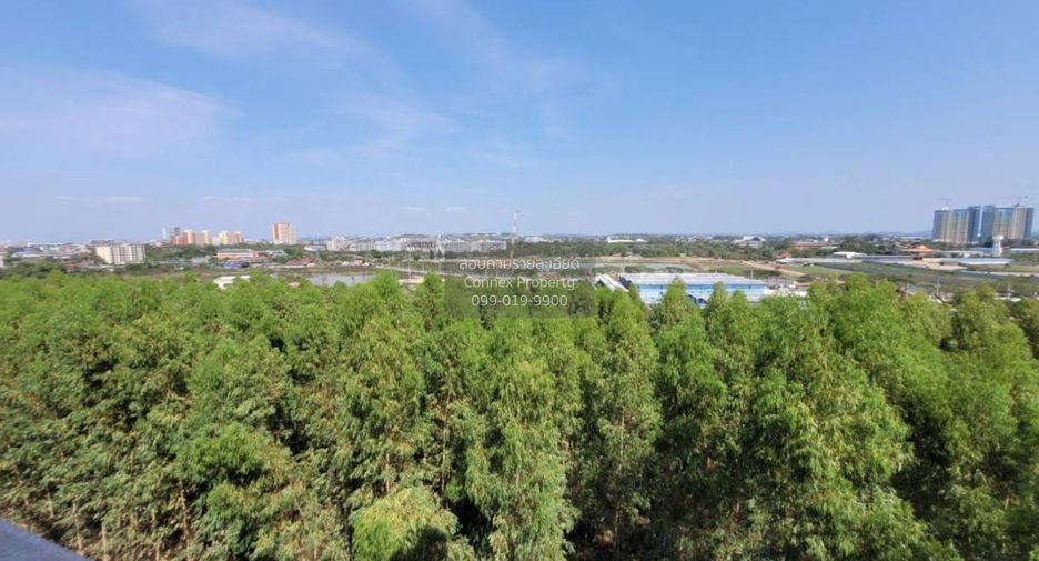 Продажа 1 кровать кондо в Йомтиен, Паттайя