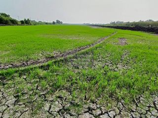 Продажа 1 кровать Участок в Лат Крабанг, Бангкок
