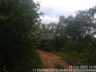 For sale 1 bed land in Mueang Prachuap Khiri Khan, Prachuap Khiri Khan