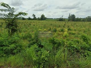 For sale 1 bed land in Watthana Nakhon, Sa Kaeo