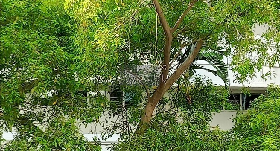 For sale 1 bed condo in Bang Kapi, Bangkok