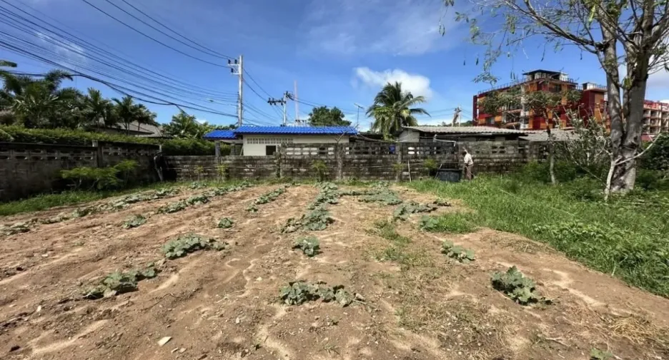 For sale land in Mueang Phuket, Phuket