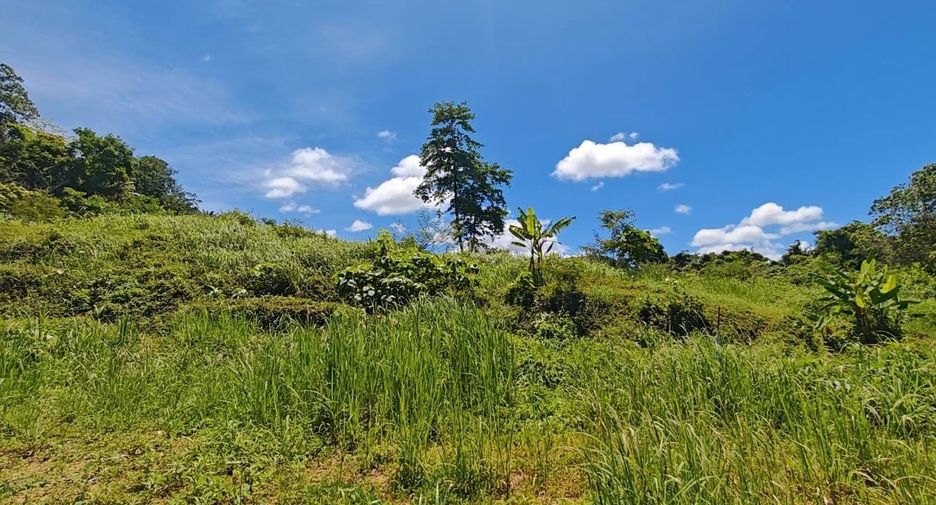 出售 土地 在 Mueang Krabi, Krabi