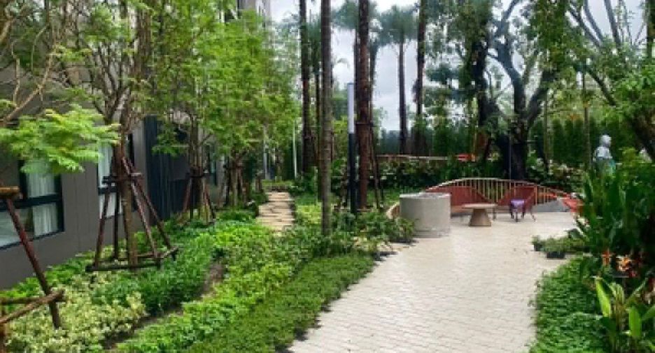 For rent 1 Beds condo in Thalang, Phuket