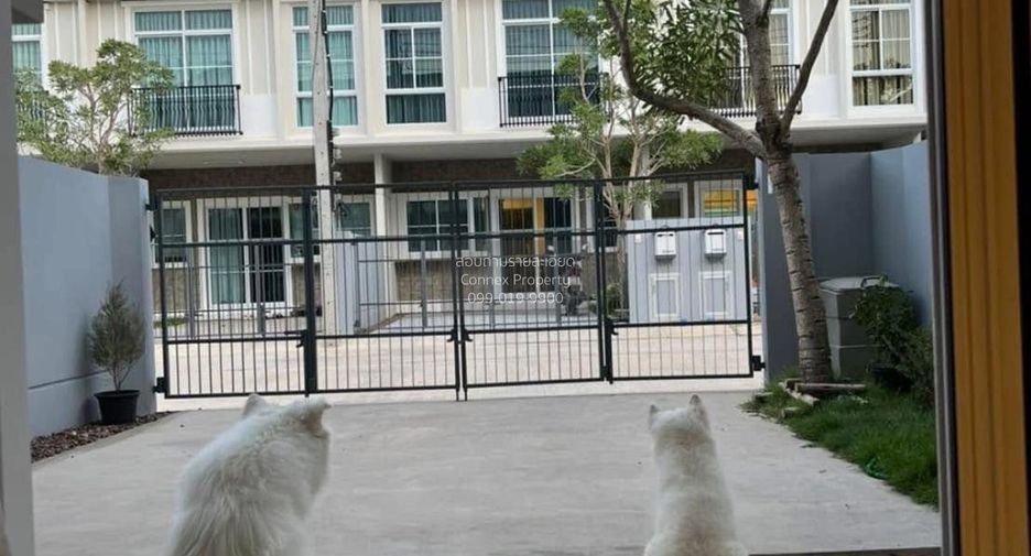 For rent 2 bedrooms townhouse in Phra Samut Chedi, Samut Prakan