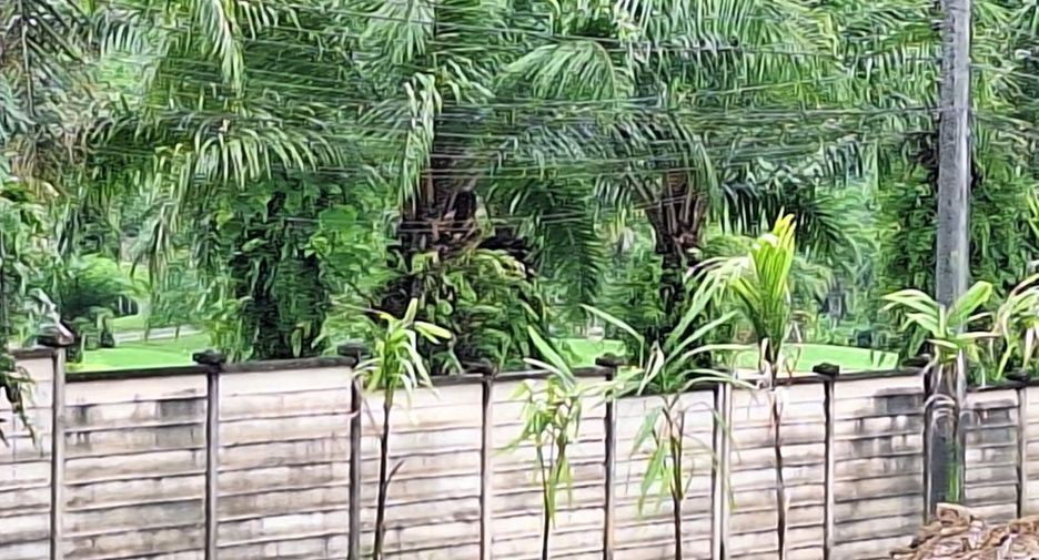 Grundstück zum Kauf in Kathu, Phuket