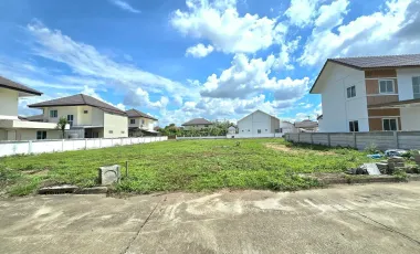 For sale land in San Sai, Chiang Mai