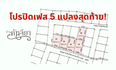 For sale land in San Sai, Chiang Mai