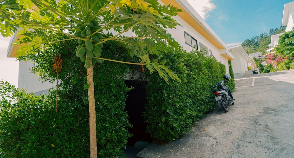 For sale and for rent 4 bedrooms villa in Ko Samui, Surat Thani