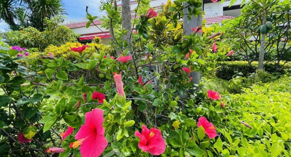 For sale 2 bedrooms condo in Pratumnak, Pattaya