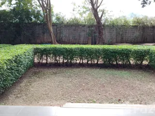 For sale and for rent studio condo in Pak Chong, Nakhon Ratchasima