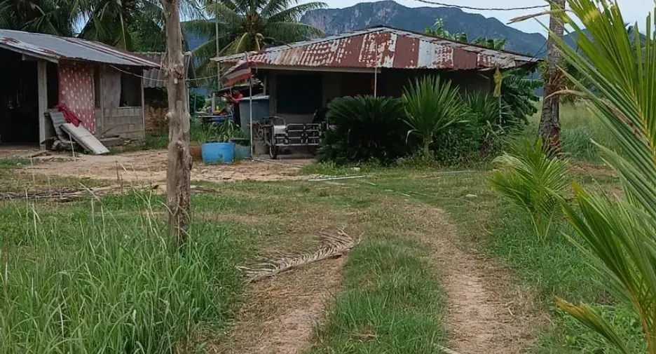 出售 土地 在 三百峰, 班武里府